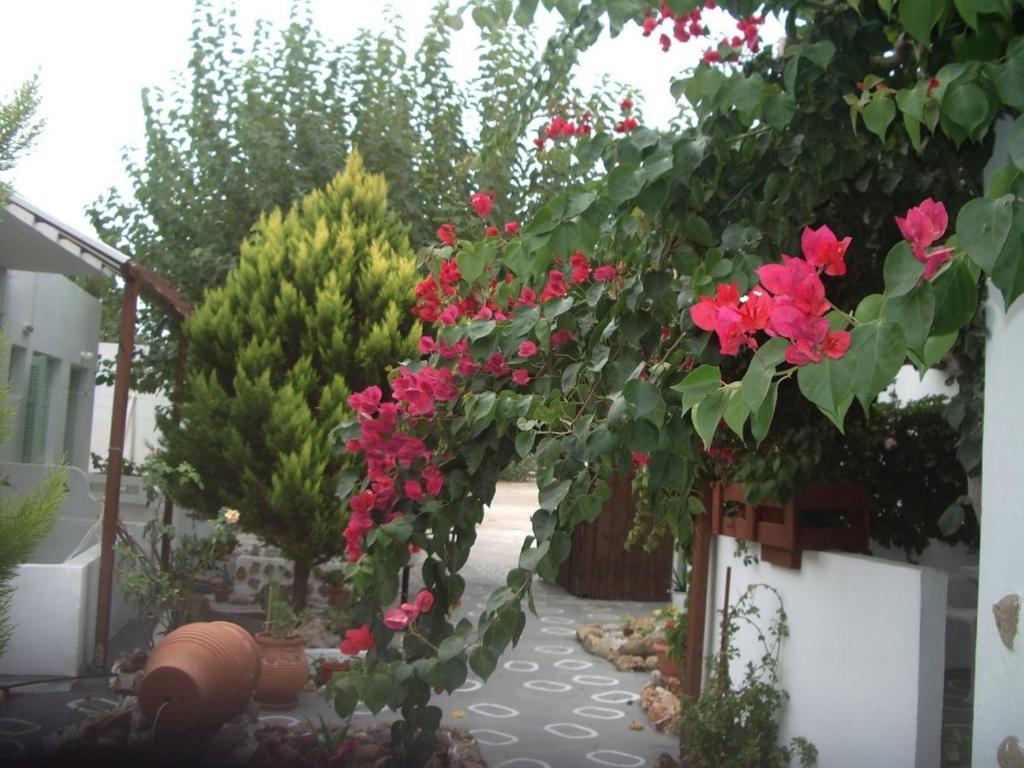 Skyros Panorama Studios Exterior foto