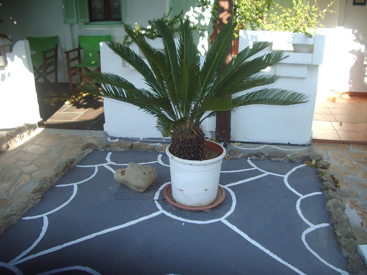 Skyros Panorama Studios Exterior foto